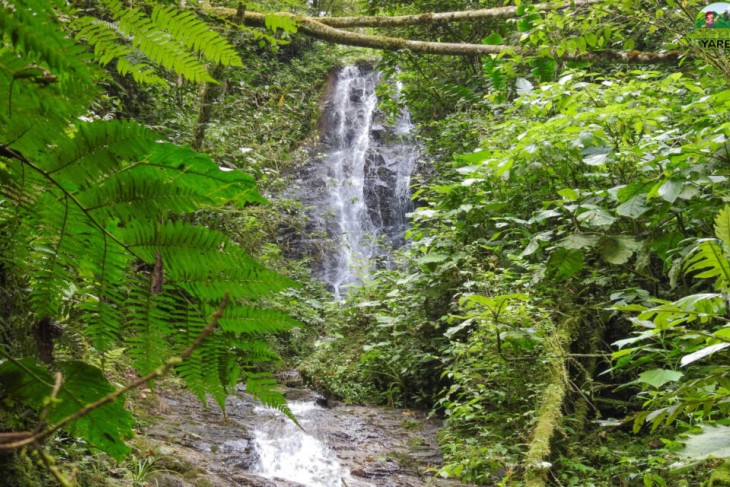 Sendero Magico Paramo de Miraflores