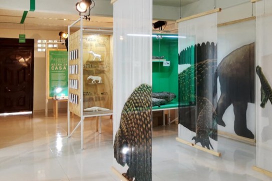 Museo Natural de la Tatacoa