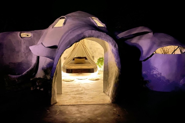 Cave Bioexperience