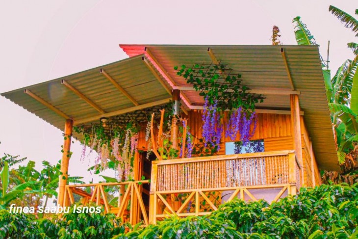 Finca SAABU
