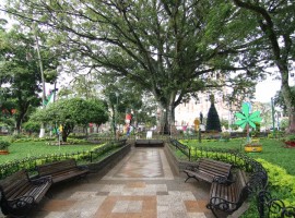 Parque central de La Plata