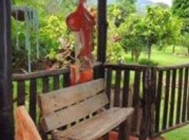 Fincas