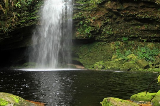 Sendero Cueva de los Guacharos