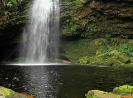 Cuevas