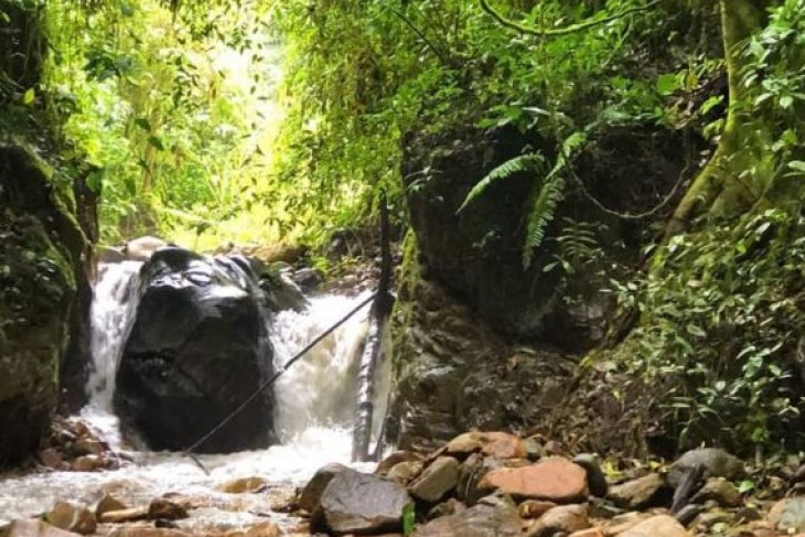 Sendero Arboloc de las Ceibas
