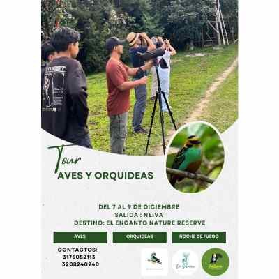 TOURS AVES Y ORQUIDEAS