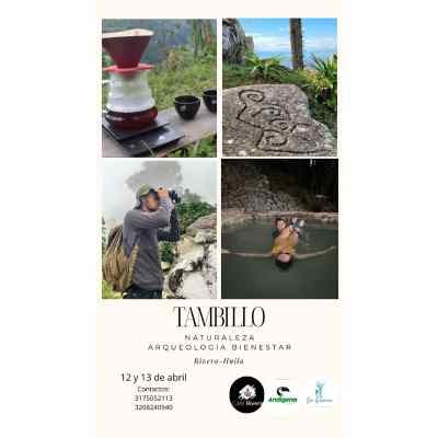TAMBILLO
