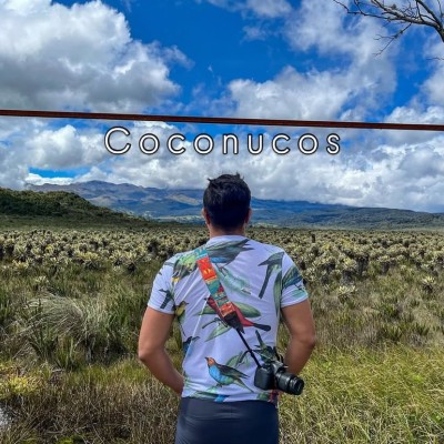 Servicios